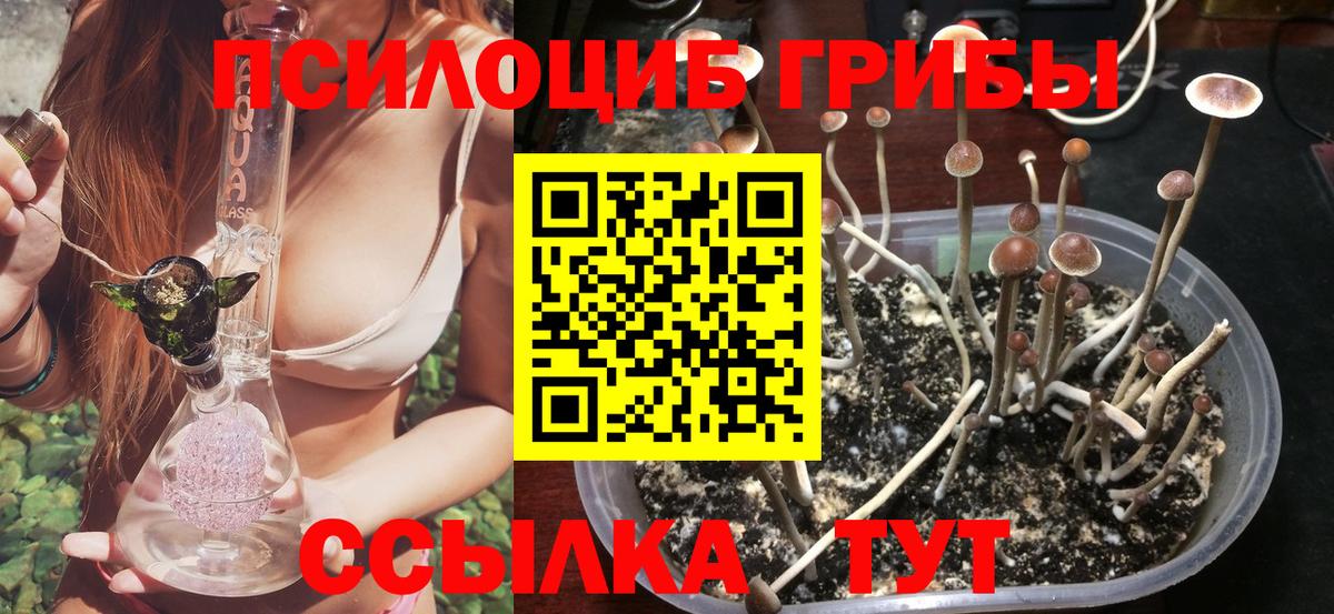 Галлюциногенные грибы Psilocybine cubensis  Галлюциногенные грибы MAGIC MUSHROOMS  Вход с VPN  Нерюнгри 